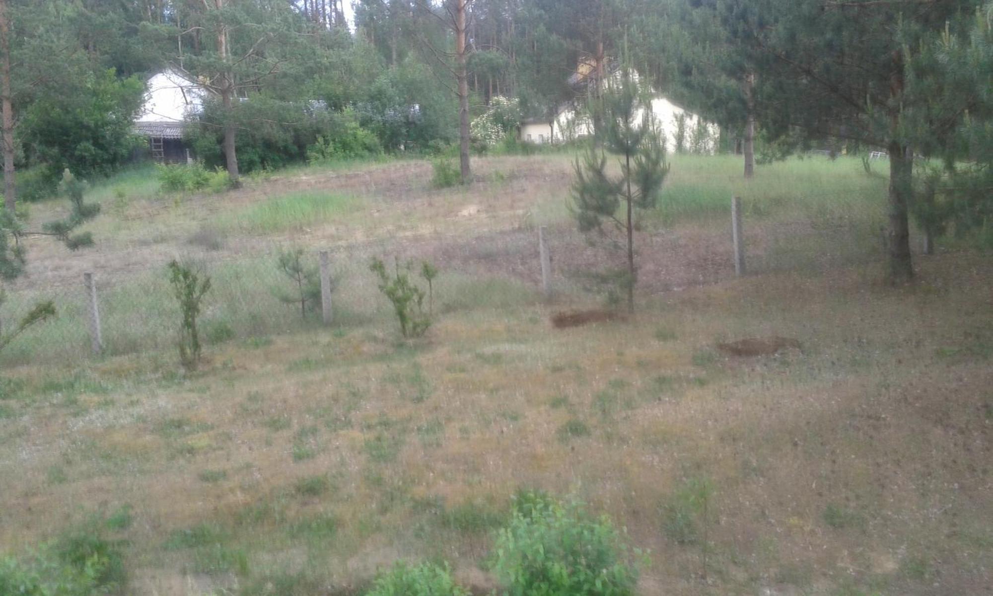 Domek Lesna Przystan Strekowizna Εξωτερικό φωτογραφία